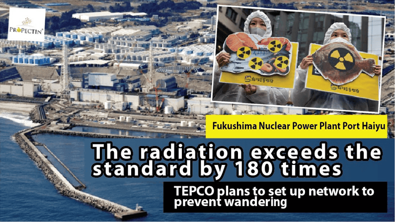 Fukushima began to discharge radiation water! The radiation of marine fish exceeds the standard by 180 times…