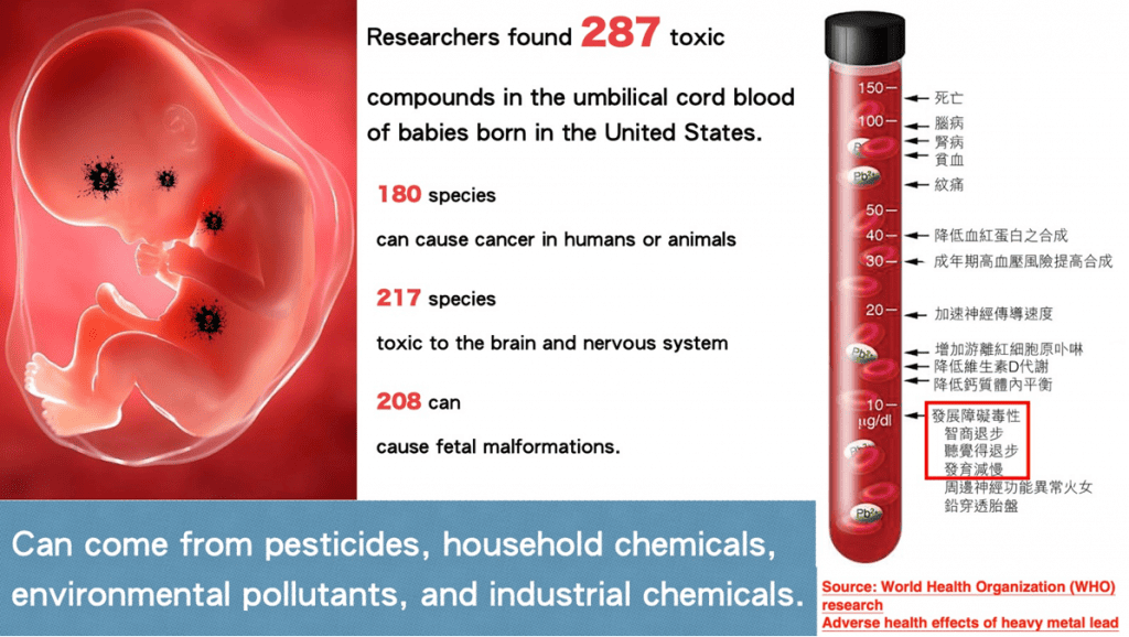 What is the "Chelation Effect" of Apple Pectin? ProPectin Life