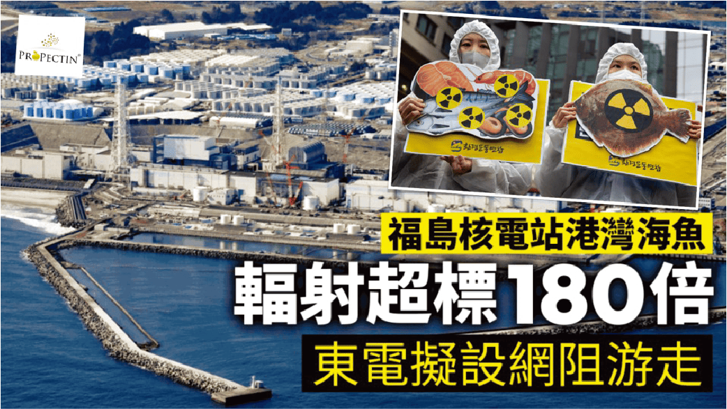 福島開始排輻射水！海魚輻射竟超標180倍…
